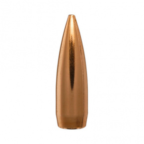 Berger Bullet 6mm (243 Diameter) 65 gr Match BT Target