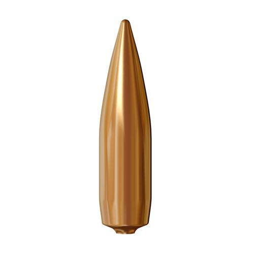 Lapua Bullet 30 cal (308 Diameter) 170 gr Lock Base