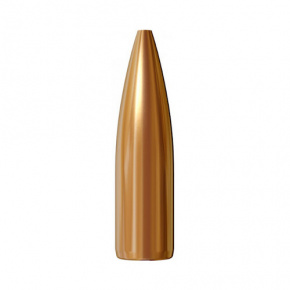 Lapua Bullet 9.3mm (.366 Diameter) 185 gr OT