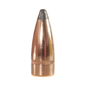 Speer Bullet 7.62mm (310 Diameter) 123 gr SP Canelure
