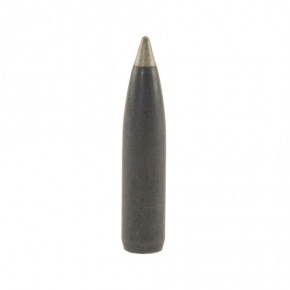Nosler Bullet 270 cal (277 Diameter) 150 gr Ballistic Silvertip