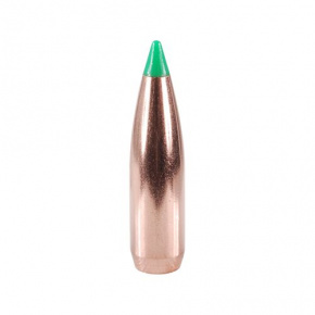 Nosler Bullet 30 cal (308 Diameter) 165 gr Ballistic Tip Hunting