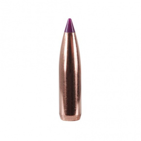 Nosler Bullet 6mm (243 Diameter) 90 gr Ballistic Tip Hunting