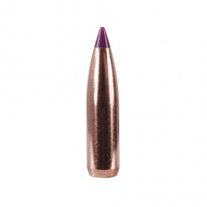 Nosler Bullet 6mm (243 Diameter) 90 gr Ballistic Tip Hunting Nosler Bullet 6mm (243 Diameter) 90 gr Ballistic Tip Hunting
