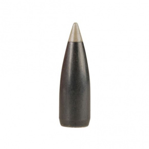 Nosler Bullet 6mm (243 Diameter) 55 gr Ballistic Silvertip