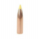 Nosler Bullet 30 cal (308 Diameter) 220 gr Partition