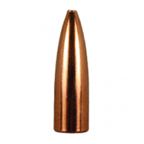 Berger Bullet 6mm (243 Diameter) 65 gr Match WEB BR Target