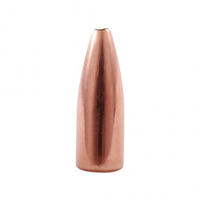 Nosler Bullet 17 cal (172 Diameter) 20 gr Varmageddon HP
