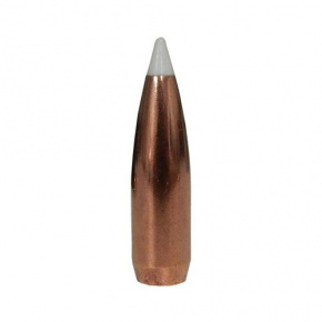 Nosler Bullet 30 cal (308 Diameter) 150 gr AccuBond