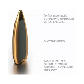 Sellier & Bellot Bullet 2887 22 cal (224 Diameter) 69 gr HPBT