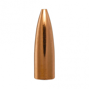 Berger Bullet 6mm (243 Diameter) 64 gr Match BR Column Target