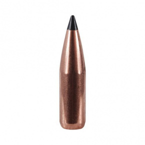 Barnes Bullet 22 cal (224 Diameter) 53 gr XLC Coated