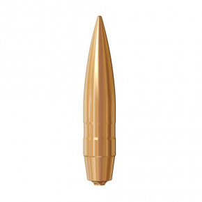 Lapua Bullet 50 cal (510 Diameter) 800 gr Bullex-N