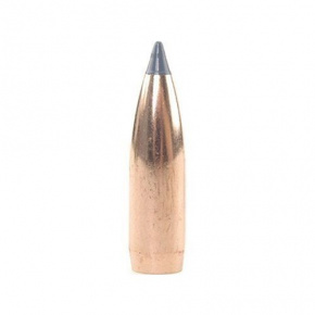 Nosler Bullet 8mm (323 Diameter) 180 gr Ballistic Tip Hunting Nosler Bullet 8mm (323 Diameter) 180 gr Ballistic Tip Hunting