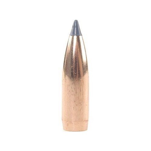 Nosler Bullet 8mm (323 Diameter) 180 gr Ballistic Tip Hunting