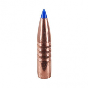 Barnes Bullet 30 cal (308 Diameter) 180 gr TTSX Boat Tail