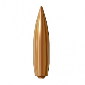 Lapua Bullet 338 cal (338 Diameter) 250 gr Lock Base
