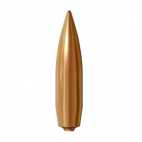 Lapua Bullet 338 cal (338 Diameter) 250 gr Lock Base