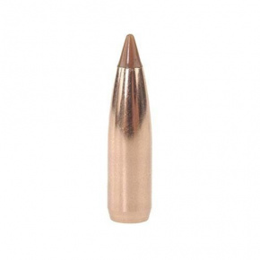 Nosler Bullet 6.5mm (264 Diameter) 100 gr Ballistic Tip Hunting