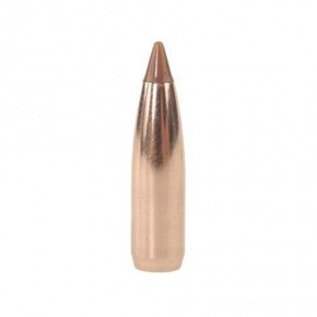 Nosler Bullet 6.5mm (264 Diameter) 100 gr Ballistic Tip Hunting Nosler Bullet 6.5mm (264 Diameter) 100 gr Ballistic Tip Hunting