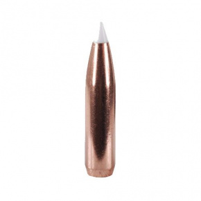 Nosler Bullet 7mm (284 Diameter) 160 gr AccuBond Nosler Bullet 7mm (284 Diameter) 160 gr AccuBond