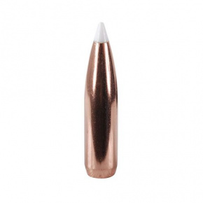 Nosler Bullet 25 cal (257 Diameter) 110 gr AccuBond