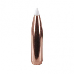 Nosler Bullet 25 cal (257 Diameter) 110 gr AccuBond Nosler Bullet 25 cal (257 Diameter) 110 gr AccuBond