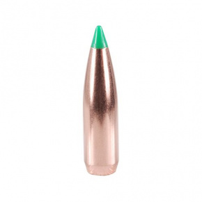 Nosler Bullet 30 cal (308 Diameter) 168 gr Ballistic Tip Hunting