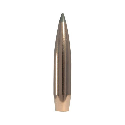 Nosler Bullet 7mm (284 Diameter) 175 gr AccuBond LR