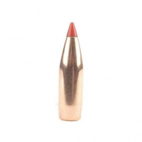 Hornady Bullet 6mm (243 Diameter) 65 gr V-MAX™