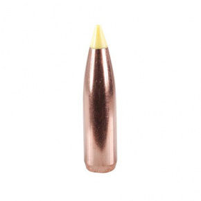 Nosler Bullet 270 cal (277 Diameter) 130 gr Ballistic Tip Hunting