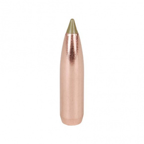 Nosler Bullet 30 cal (308 Diameter) 168 gr E-Tip