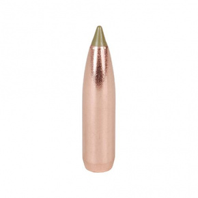 Nosler Bullet 30 cal (308 Diameter) 168 gr E-Tip