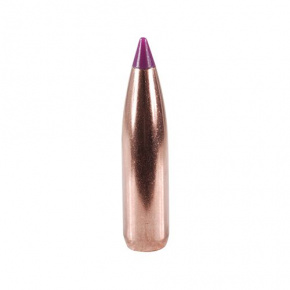 Nosler Bullet 6mm (243 Diameter) 95 gr Ballistic Tip Hunting Nosler Bullet 6mm (243 Diameter) 95 gr Ballistic Tip Hunting