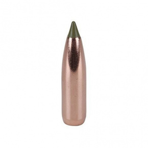 Nosler Bullet 30 cal (308 Diameter) 150 gr E-Tip