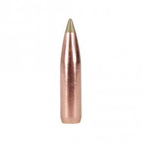 Nosler Bullet 7mm (284 Diameter) 140 gr E-Tip