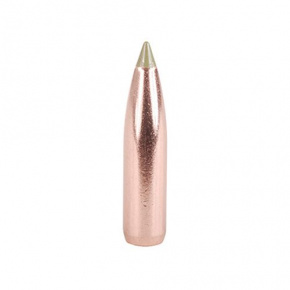 Nosler Bullet 25 cal (257 Diameter) 100 gr E-Tip