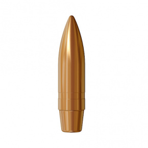 Lapua Bullet 7.62mm (310 Diameter) 200 gr FMJ BT D166