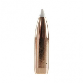 Nosler Bullet 8mm (323 Diameter) 200 gr AccuBond
