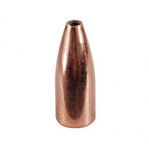 Nosler Bullet 20 cal (204 Diameter) 32 gr Varmageddon HP