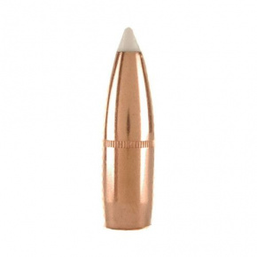 Nosler Bullet 9.3mm (366 Diameter) 250 gr AccuBond