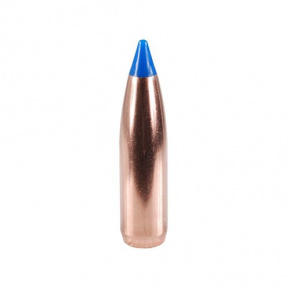 Nosler Bullet 25 cal (257 Diameter) 100 gr Ballistic Tip Hunting