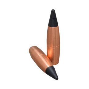 Cutting Edge Bullet 6mm (243 Diameter) 60 gr ER Raptor Cutting Edge Bullet 6mm (243 Diameter) 60 gr ER Raptor