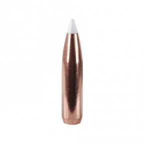 Nosler Bullet 338 cal (338 Diameter) 300 gr AccuBond
