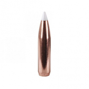 Nosler Bullet 338 cal (338 Diameter) 300 gr AccuBond Nosler Bullet 338 cal (338 Diameter) 300 gr AccuBond