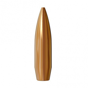 Lapua Bullet 30 cal (308 Diameter) 185 gr Scenar