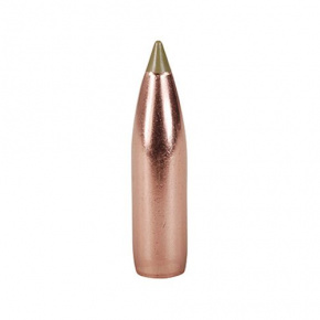 Nosler Bullet 8mm (323 Diameter) 180 gr E-Tip