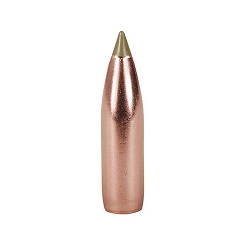 Nosler Bullet 8mm (323 Diameter) 180 gr E-Tip