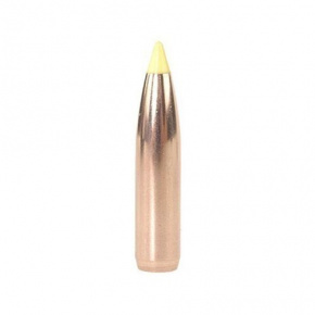 Nosler Bullet 270 cal (277 Diameter) 150 gr Ballistic Tip Hunting