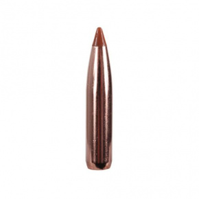 Nosler Bullet 6.5mm (264 Diameter) 140 gr Ballistic Tip Hunting